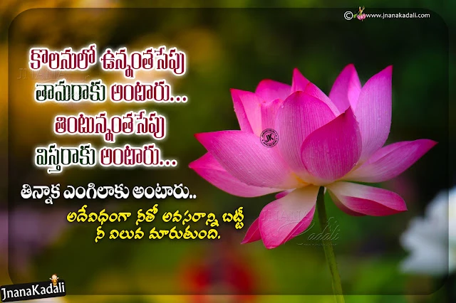 telugu words about life in telugu, inspiring words about life in telugu, telugu words for daily motivation