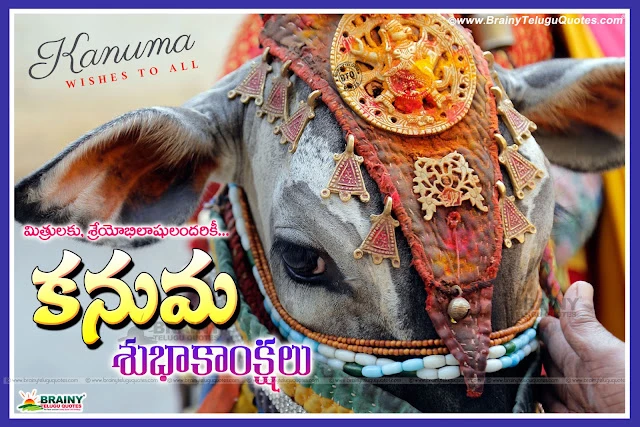 Happy Sankranthi to all in Telugu Language, Telugu Pongal Holidays greetings and message , Sankranthi Festival invitations online, Happy Sankranthi Customized greetings and Images, New Inspiring Sankranthi Wishes Quotes, Sankranthi Festival Images online, Happy Sankranthi  Telugu HD Wallpapers.Telugu Makara Sankranthi 2017 Wishes and Greetings online, New Telugu Pongal Greetings online, Happy Pongal 2017 Quotes for Friends in Telugu, Sankranthi Subhakankshalu Images online, Telugu Best Happy Pongal Images and Rangoli wallpapers Stickers images