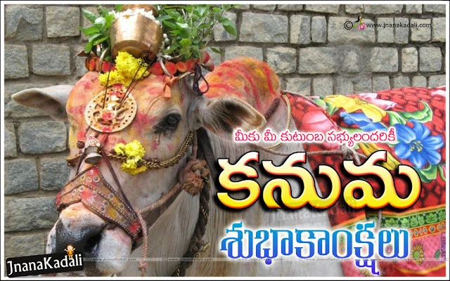Sankranti Kodipandalu images with happy pongal Greetings images, Sankranti Gangiredu images with happy pongal wishes, Happy Sankranti quotes wishes images, Sankranti Gali Patalu images, Pongal Jalli kattu images greetings, Pongal kolam images in telugu, Sankranti muggulu images.Happy Sankranti 2017 Greetings in telugu Makarasankranti telugu greetings Makara sankranti 2017 greetings in telugu Makara sankranti 2017 wishes in telugu Happy Pongal 2017 greetings in telugu Happy Pongal greetings in telugu Happy pongal wishes in telugu happy pongal messages in telugu Pongal 2017 HD Wallpapers Happy Bhogi Greetings in Telugu Happy Kanuma Greetings in Telugu. 
