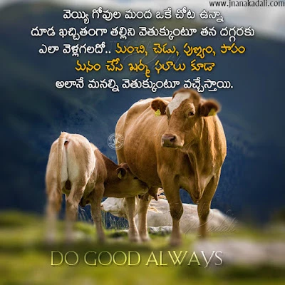 telugu quotes free download, whats app sharng good morning messages in telugu, whats app telugu quotes