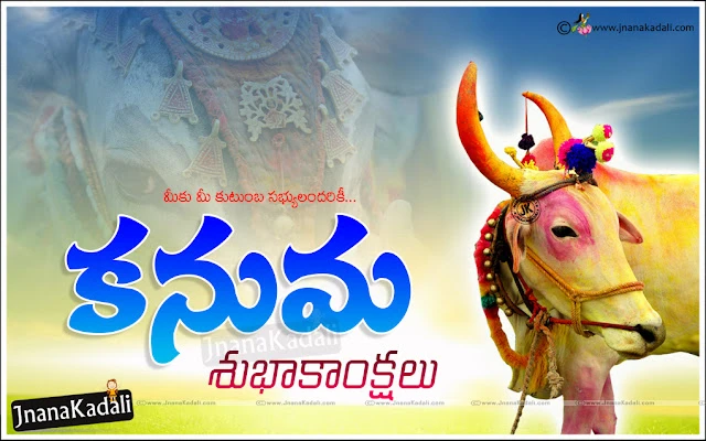 Sankranti Kodipandalu images with happy pongal Greetings images, Sankranti Gangiredu images with happy pongal wishes, Happy Sankranti quotes wishes images, Sankranti Gali Patalu images, Pongal Jalli kattu images greetings, Pongal kolam images in telugu, Sankranti muggulu images.Happy Sankranti 2017 Greetings in telugu Makarasankranti telugu greetings Makara sankranti 2017 greetings in telugu Makara sankranti 2017 wishes in telugu Happy Pongal 2017 greetings in telugu Happy Pongal greetings in telugu Happy pongal wishes in telugu happy pongal messages in telugu Pongal 2017 HD Wallpapers Happy Bhogi Greetings in Telugu Happy Kanuma Greetings in Telugu. 
