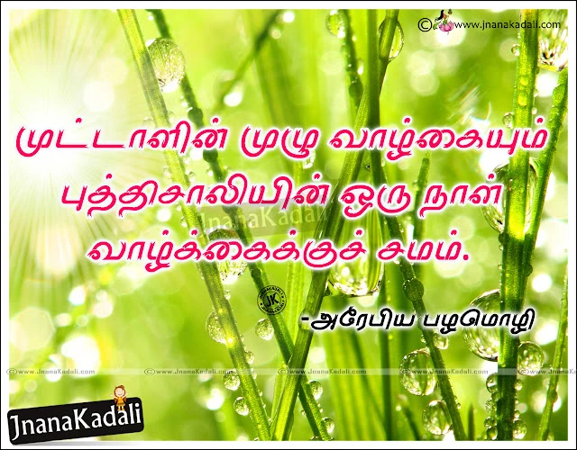 Best Tamil Language Daily Good Motivated Messages images, Tamil Language Good Day Quotes and Messages, Awesome Tamil Quotes in Tamil Font Free, Best Inspiring Tami Life Quotations online, Awesome Telugu Daily Life inspiring lines and Good messages, Keep Smiling Quotes in Tamil, Tamil Kaalai Vanakkam Images Wallpapers, Tamil Nice life Quotes and Nice images, Best and Cute Tamil Language Wallpapers, Nice Tamil Life Facebook Images online.