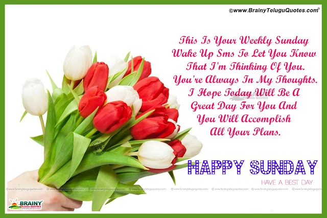 2017 Nee Hindi Good Morning Messages and Quotes, Hindi Good morning cool shayri for love, Good Morning Subhah Suprabath Images and Gallery, All hindi New Good morning messages quotes, hindi inspirational good mornig quotes images online.New Telugu Happy Sunday Pictures with Nice Messages online, Top Telugu Happy Sunday Messages and Wallpapers, Sunday Inspirational Good morning Quotes images, Famous telugu Good Morning Pics, Telugu Nice Good Morning Whatsapp Share Chat Images.