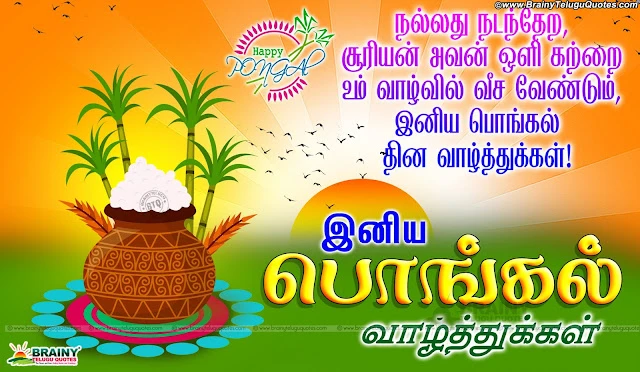  Tamil Pongal Greetings for Wallpapers online, Tamil Pongal Messages and Wallpapers Free, Awesome Tamil Language Pongal Lines online, Happy Pongal Best Greetings and Messages, Tamil Pongal Quotations online, Tamil Pongal SMS for Gf, Tamil Pongal Festival Quotes & Wallpapers, Tamil New Pongal Festival Greetings and Gifts Cards Online.tamil Pongal 2016 Greetings and Messages in Tamil Language, Popular Tamil Makara Sankranti Wallpapers with Nice QUotations, New Tamil Language Makara Sankranti Wishes for Friends, Makara Sankranti Tamil Greetings online, Makara Sankranti Tamil Festival Celebrations, Makara Sankranti Pot Images and Nice Kavithai Greetings, Tamil Popular Makara Sankranti Quotations Free.