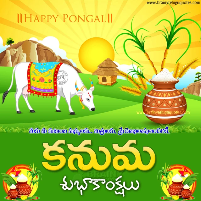 telugu festival sankranthi in telugu, greetings on sankranthi and kanuma festival, 2020 makara sankranthi kanuma greetings