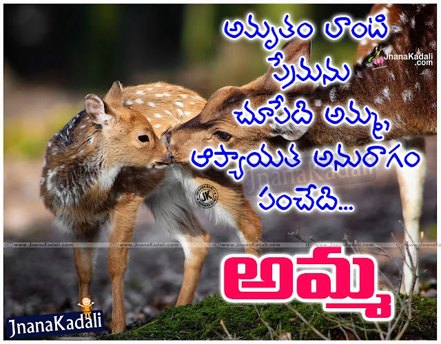 I Love You Amma Telugu Mother Quotes Garden with HD Wallpapers,Amma Kavithalu In Telugu With Cute Baby, Very Sweet Lovely Telugu Mother Love Quotes Kavithalu, Kavithalu On Mother,inspirational quotes on mother in telugu,amma quotations in telugu download,amma telugu letter images,mother quotations in english,mother's day telugu quotations,proverbs on mother and father in telugu,mothers day quotes in telugu,Beautiful Mother Quotations in Telugu With Images, Amma Kavithalu Telugu lo, Mother Quotes with Images,Amma Kavithalu In Telugu With Cute Baby, Very Sweet Lovely Telugu Mother Love Quotes    