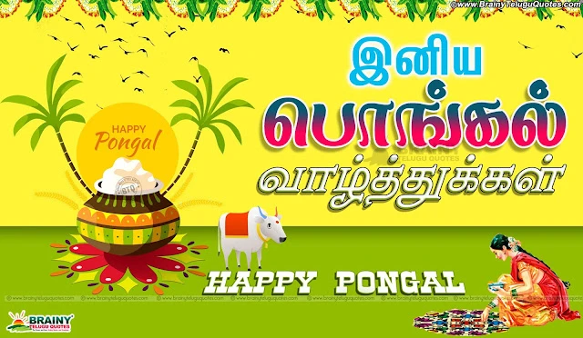  Tamil Pongal Greetings for Wallpapers online, Tamil Pongal Messages and Wallpapers Free, Awesome Tamil Language Pongal Lines online, Happy Pongal Best Greetings and Messages, Tamil Pongal Quotations online, Tamil Pongal SMS for Gf, Tamil Pongal Festival Quotes & Wallpapers, Tamil New Pongal Festival Greetings and Gifts Cards Online.tamil Pongal 2016 Greetings and Messages in Tamil Language, Popular Tamil Makara Sankranti Wallpapers with Nice QUotations, New Tamil Language Makara Sankranti Wishes for Friends, Makara Sankranti Tamil Greetings online, Makara Sankranti Tamil Festival Celebrations, Makara Sankranti Pot Images and Nice Kavithai Greetings, Tamil Popular Makara Sankranti Quotations Free.