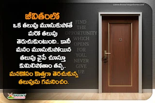 telugu quotes in telugu, best words on life in telugu, famous life quotes in telugu, wonder quotes on life in telugu