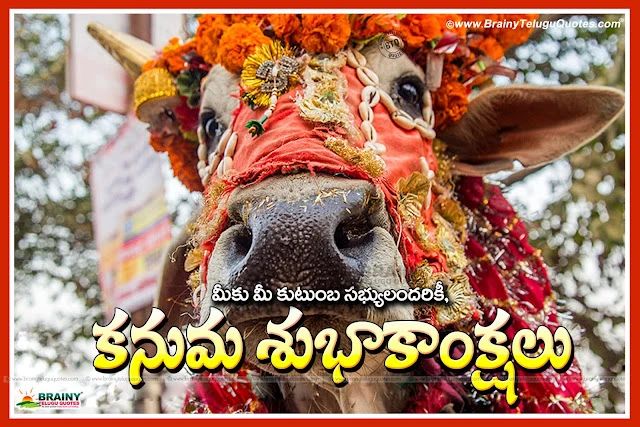 Happy Sankranthi to all in Telugu Language, Telugu Pongal Holidays greetings and message , Sankranthi Festival invitations online, Happy Sankranthi Customized greetings and Images, New Inspiring Sankranthi Wishes Quotes, Sankranthi Festival Images online, Happy Sankranthi  Telugu HD Wallpapers.Telugu Makara Sankranthi 2017 Wishes and Greetings online, New Telugu Pongal Greetings online, Happy Pongal 2017 Quotes for Friends in Telugu, Sankranthi Subhakankshalu Images online, Telugu Best Happy Pongal Images and Rangoli wallpapers Stickers images