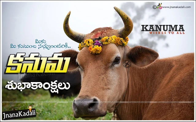 Sankranti Kodipandalu images with happy pongal Greetings images, Sankranti Gangiredu images with happy pongal wishes, Happy Sankranti quotes wishes images, Sankranti Gali Patalu images, Pongal Jalli kattu images greetings, Pongal kolam images in telugu, Sankranti muggulu images.Happy Sankranti 2017 Greetings in telugu Makarasankranti telugu greetings Makara sankranti 2017 greetings in telugu Makara sankranti 2017 wishes in telugu Happy Pongal 2017 greetings in telugu Happy Pongal greetings in telugu Happy pongal wishes in telugu happy pongal messages in telugu Pongal 2017 HD Wallpapers Happy Bhogi Greetings in Telugu Happy Kanuma Greetings in Telugu. 
