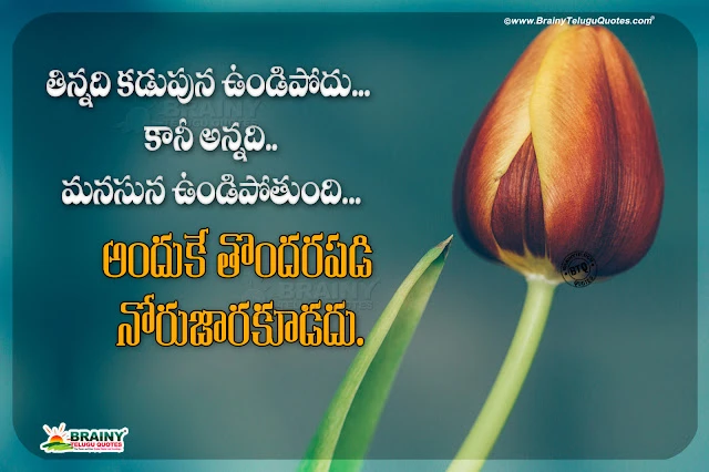 life quotes in telugu, telugu messages, heart touching life quotes, famous telugu quotes, words on life in telugu, best quotes on life in telugu