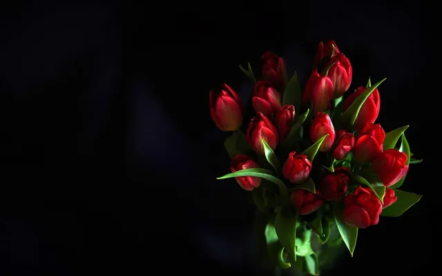 Happy women's day English Greetings, Top Best Women's Day Trending Greetings with hd wallpapers